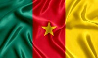 Flag of Cameroon.